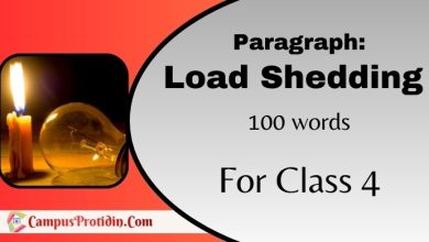 load shedding paragraph class 4