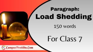 load shedding paragraph class 7