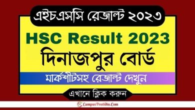 hsc result 2023 dinajpur board